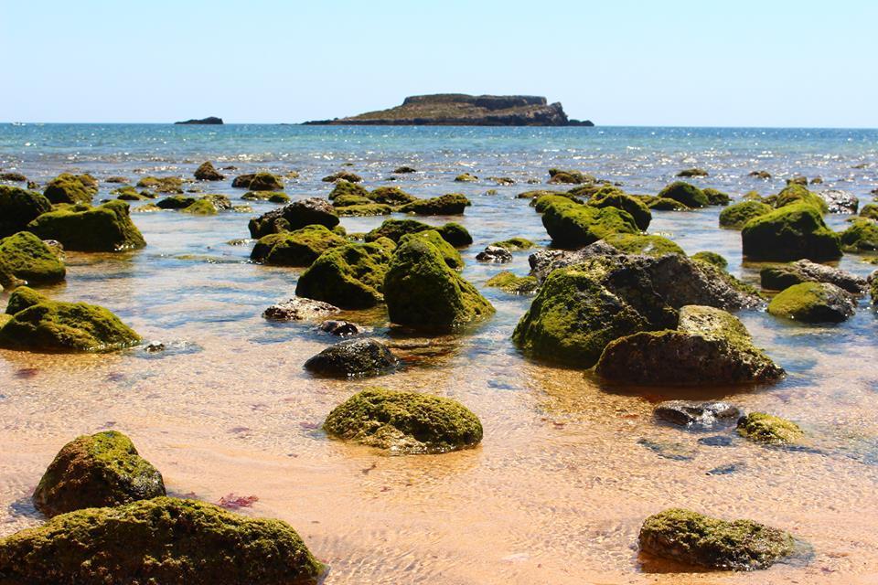 Sagres Sunny Room With Private Bathroom 300M From The Beach Екстериор снимка